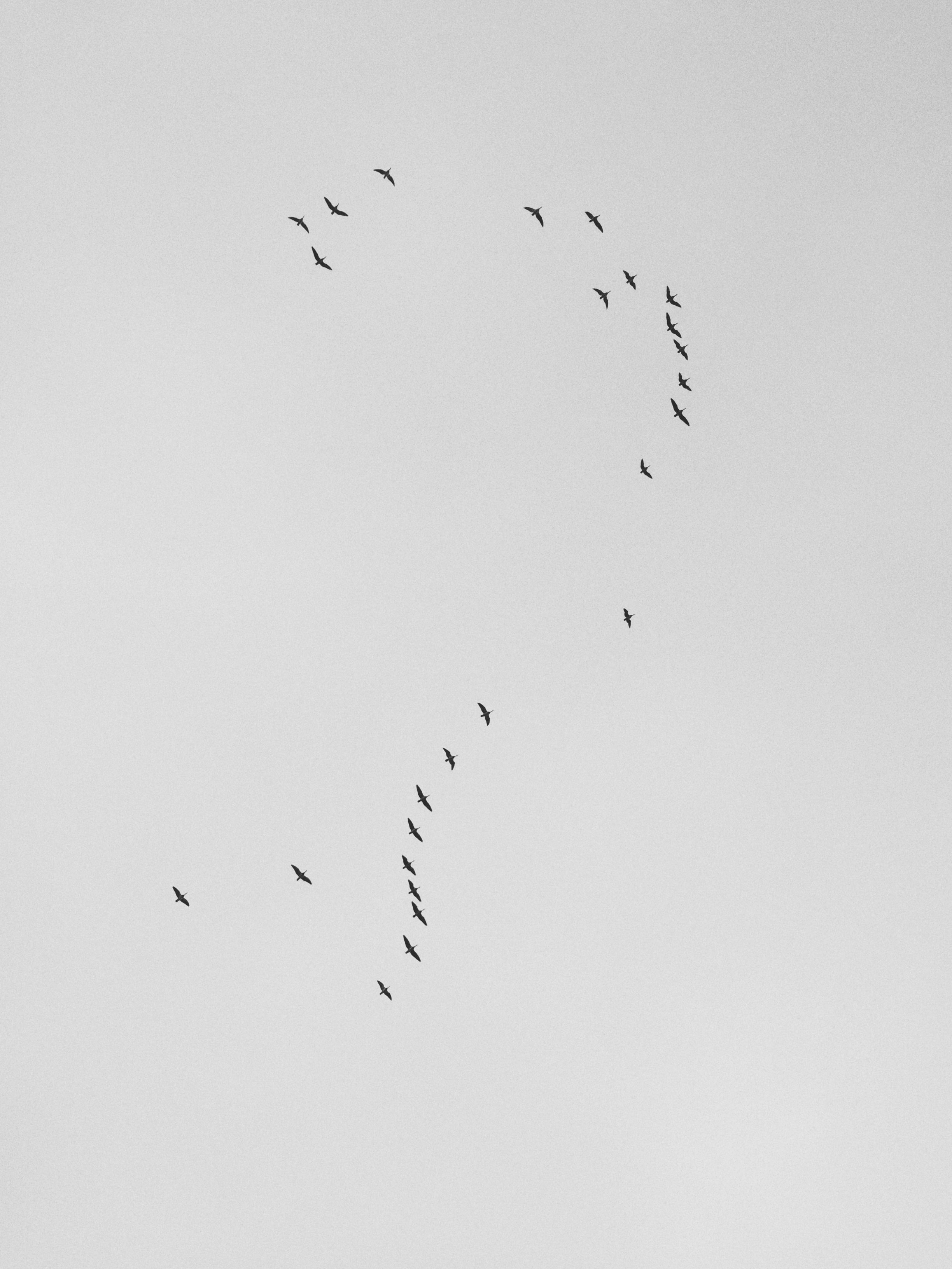 Photo by Ilkka Kärkkäinen on Unsplash